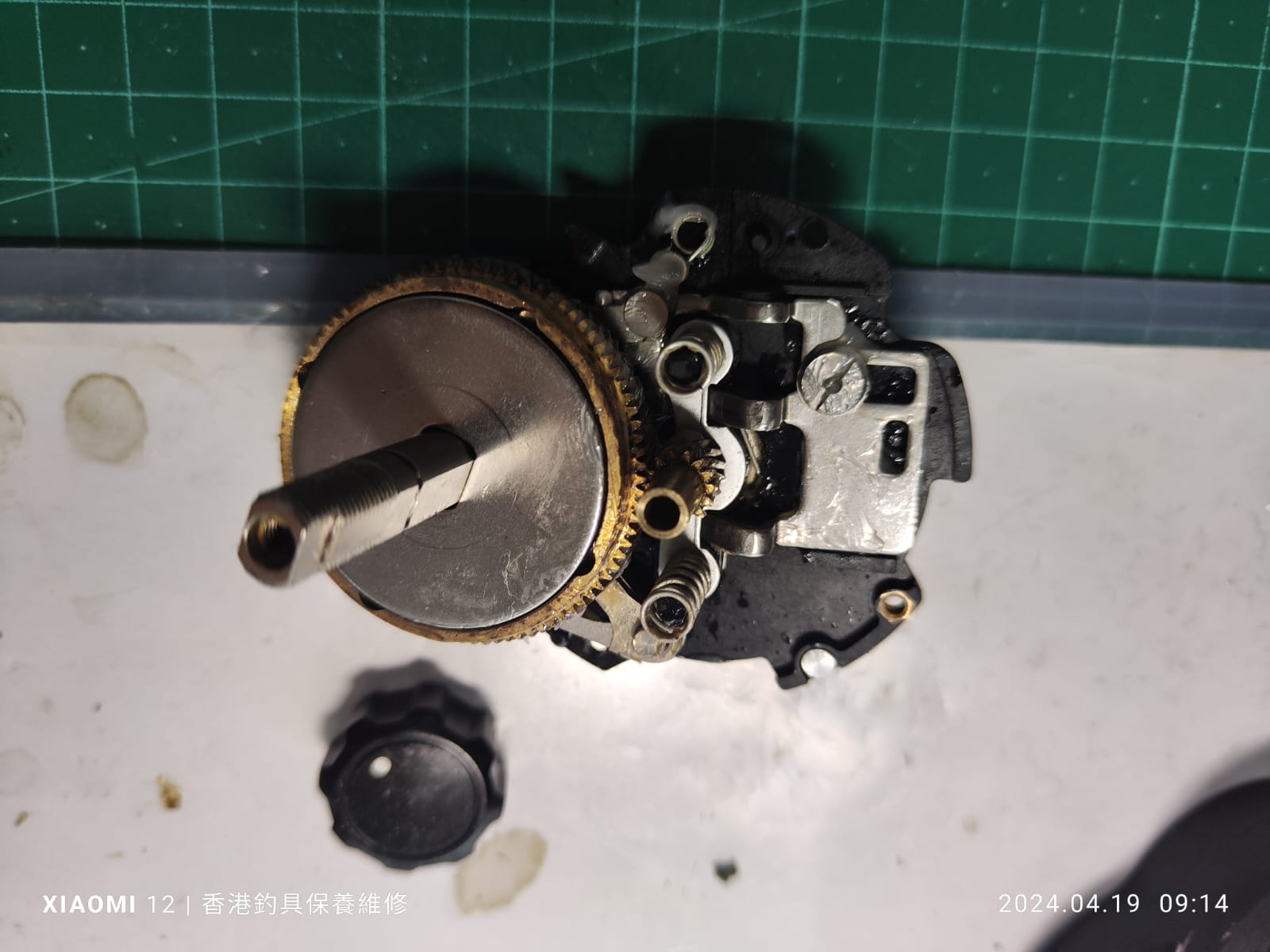 Daiwa Seaborg 500J 維修