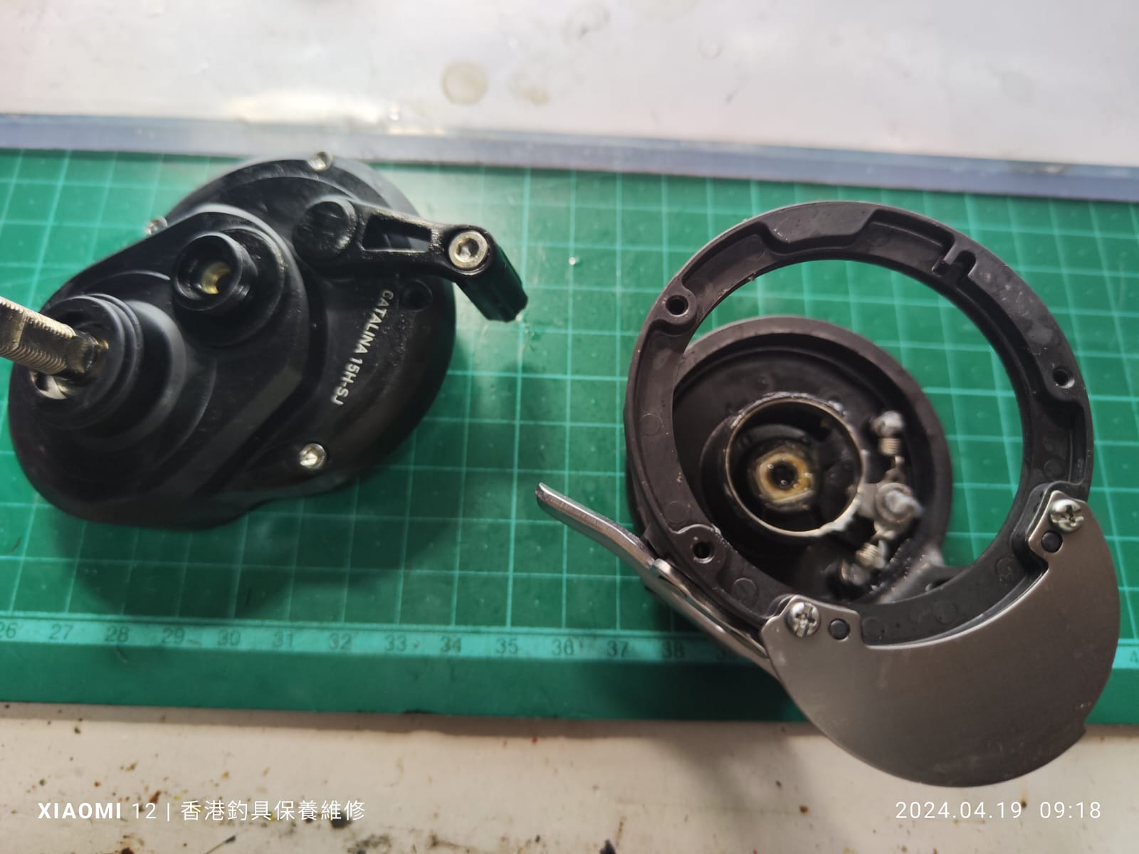 Daiwa Seaborg 500J（第二組） 維修