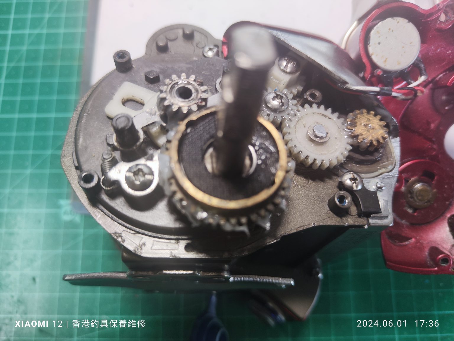 Daiwa Seaborg 500J（第二組） 維修